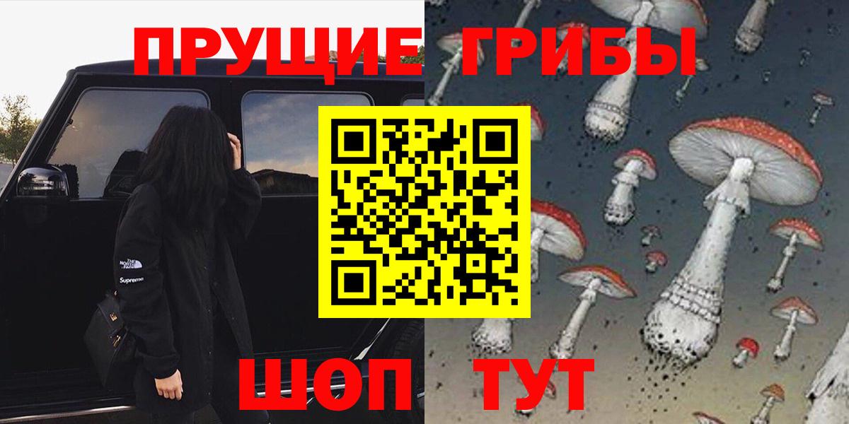 Галлюциногенные грибы ЛСД  Галлюциногенные грибы Magic Shrooms  Вход с VPN  купить наркотики цена  Тайшет 
