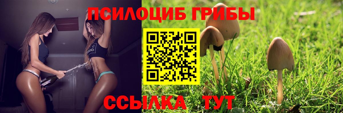 Галлюциногенные грибы GOLDEN TEACHER Тайшет
